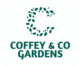 Leadership Coach Geelong